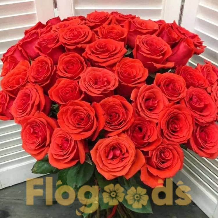 51 красная роза за 19 540 руб.